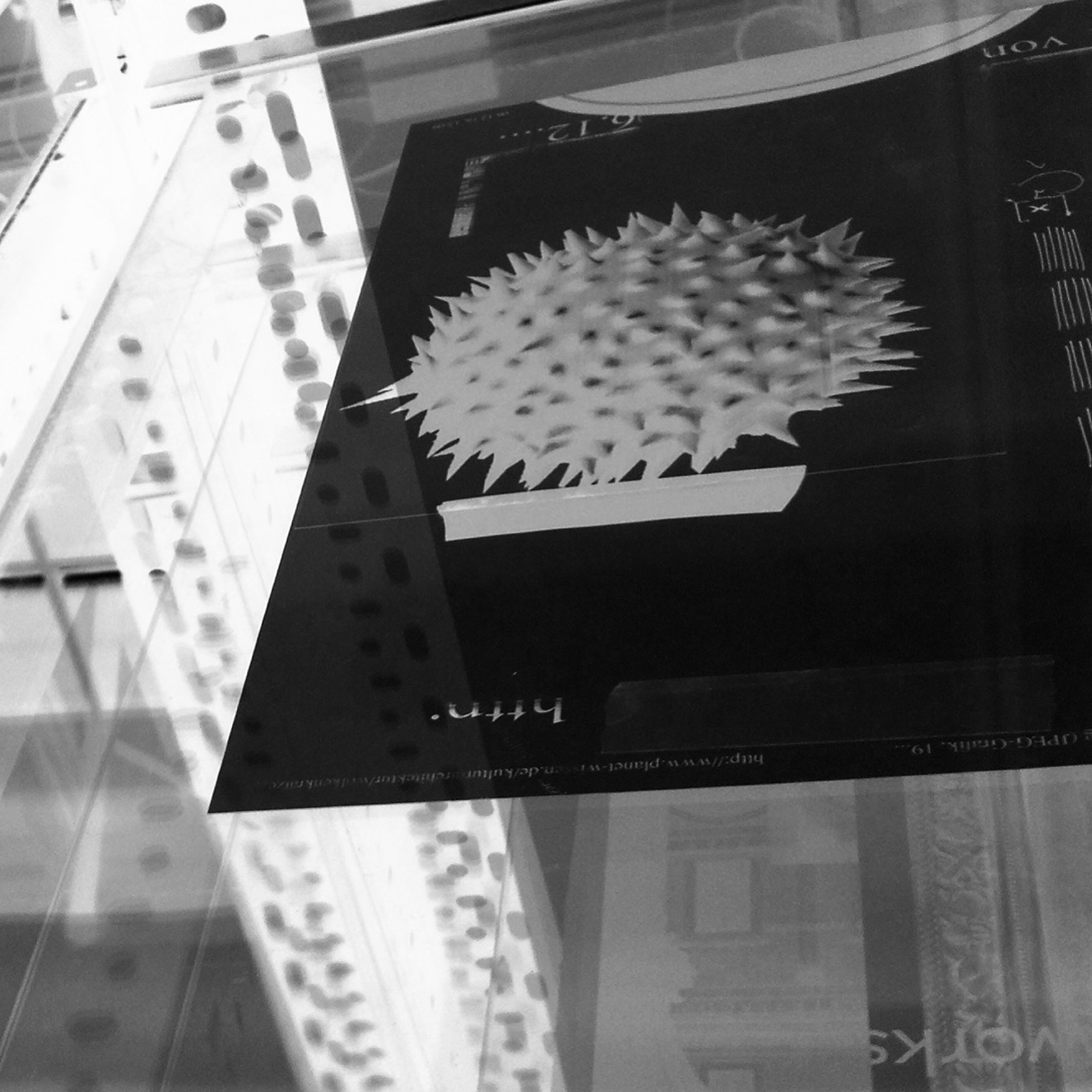 felix breidenbach daedalus 12