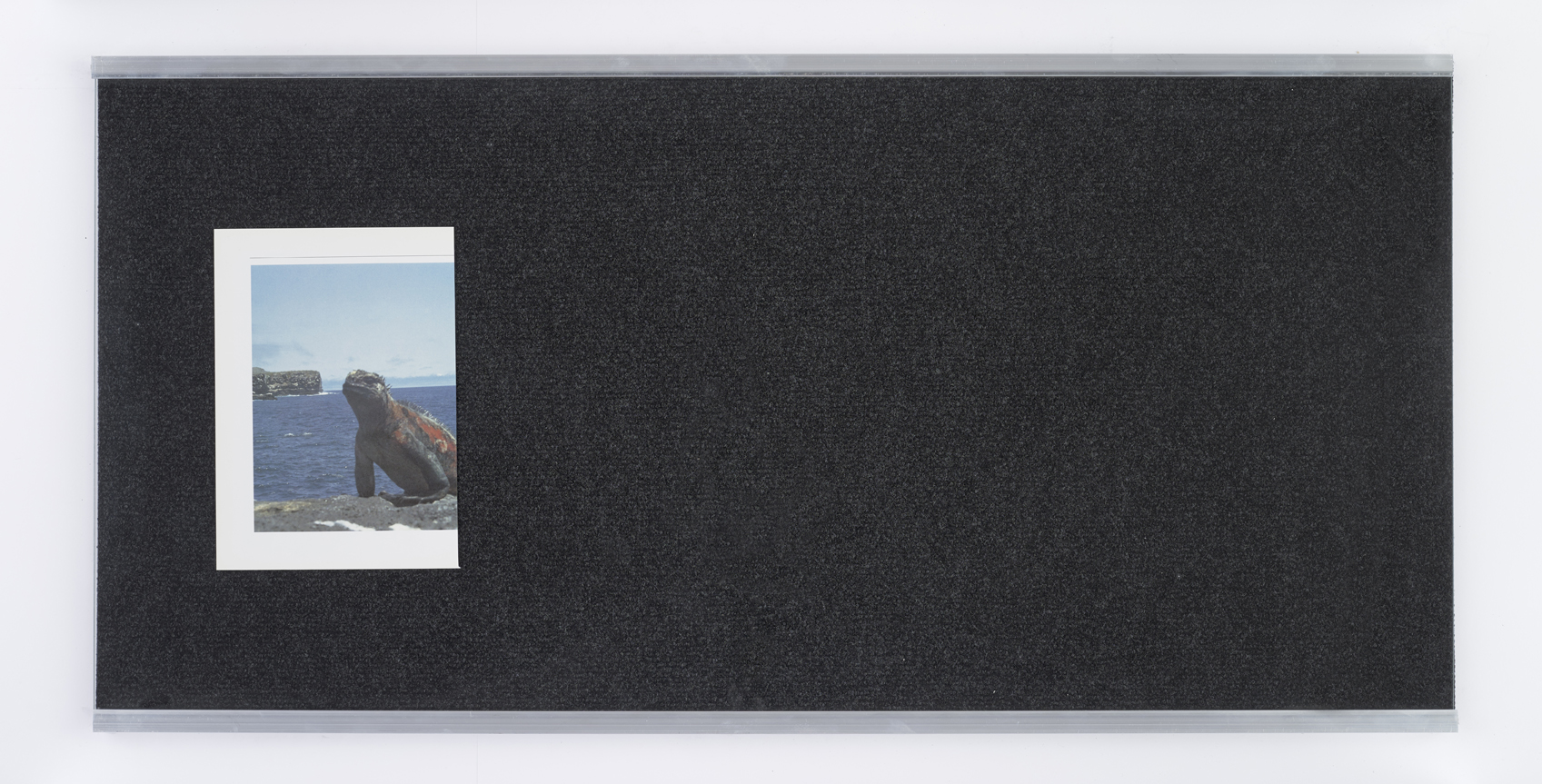 felix breidenbach daedalus 5